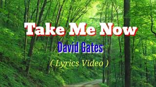 Video thumbnail of "Take Me Now (Lyrics Video)by David Gates"