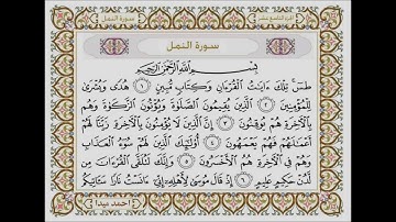 سورة النمل بصوت الشيخ حسن صالح 027
