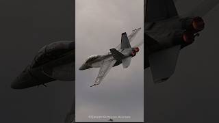 F/A-18F Super Hornet West Coast Rhino Demo Team Dedication Pass @ Selfridge Open House and Airshow