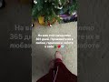 С Новым годом 2025🌲#новыйгод #исполнениежеланий #еовогоднеечудо