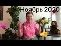 🔴 Ноябрь перемен 2020 🔴 Трансформация для всех