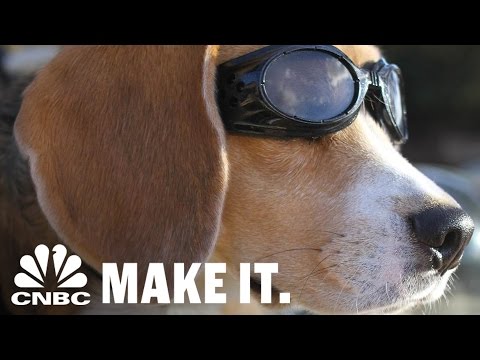 Video: Mieli šuo modeliai saulės akiniai, mūsų širdys sprogti