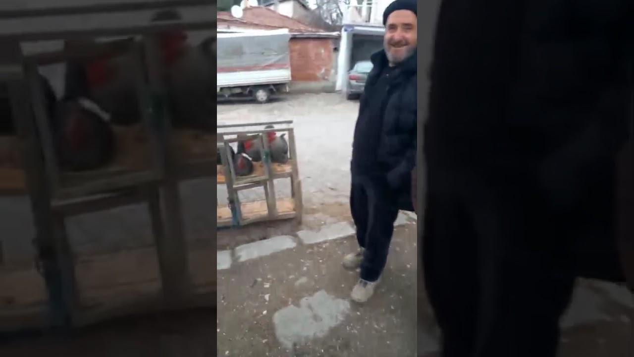 22 Ocak 2026 taşova tavuk pazarı