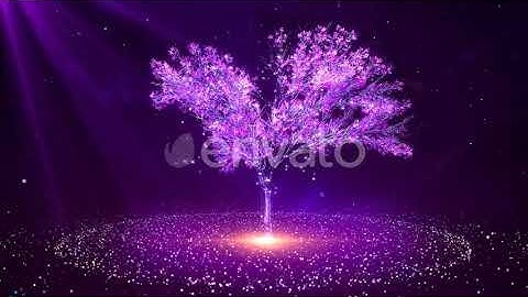 Purole Rotate Tree Particles | Motion Graphics - Videohive template