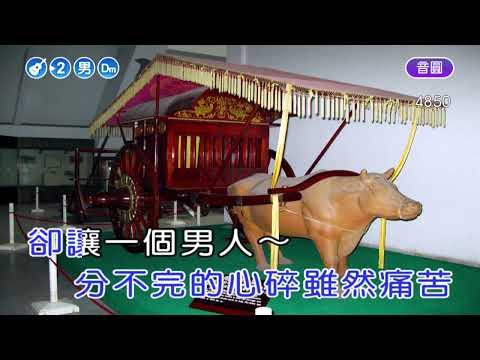 五月的雪~游鴻明~男Dm調~伴奏~導唱~無live鼓丙