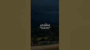 وكلهم آتيه يوم القيامة فردا | الآية 95 من سورة مريم