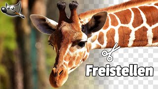 Ausschneiden / Freistellen - Transparenter Hintergrund | Gimp 2.10 Tutorial Deutsch