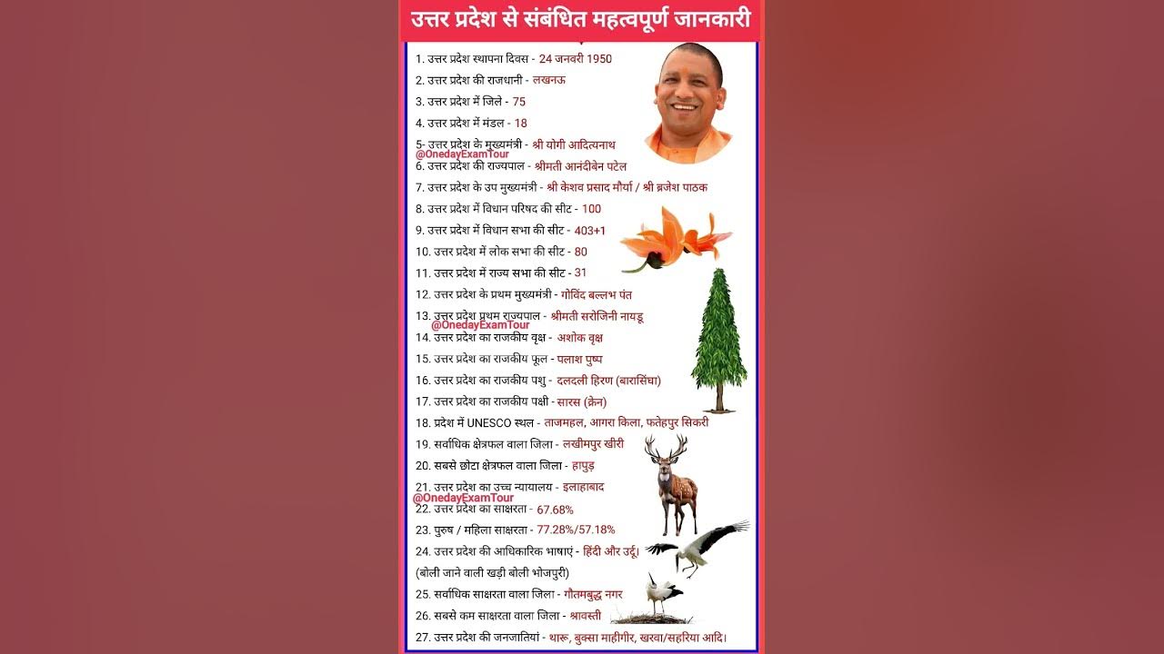 UPSSSC PET GS Classes 2025 | UP PET GS Practice Set #01| up special practice set #upgk #up_special