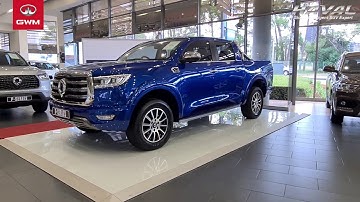 GWM P Series by Francois Nieman