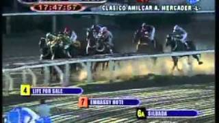 Clasico A. Mercader (L) LIFE FOR SALE