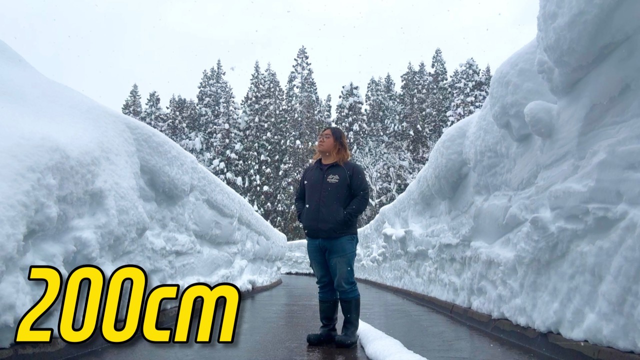 일본시골, 이 정도면 재난 아닌가요?