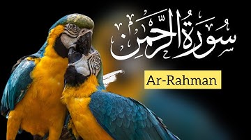 سورة الرحمن (Surah Ar-Rahman)The Divine Symphony of Mercy and Blessings