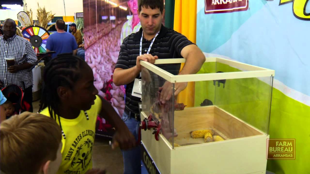 arkansas-state-fair-jr-livestock-auction-youtube