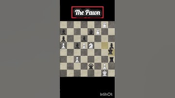 💀The Pawn and Rook💀,#sports #chess #game#chess hub #chess tips #chess technique #chess skills