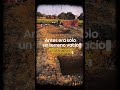 ¡Sé parte de esta misión!