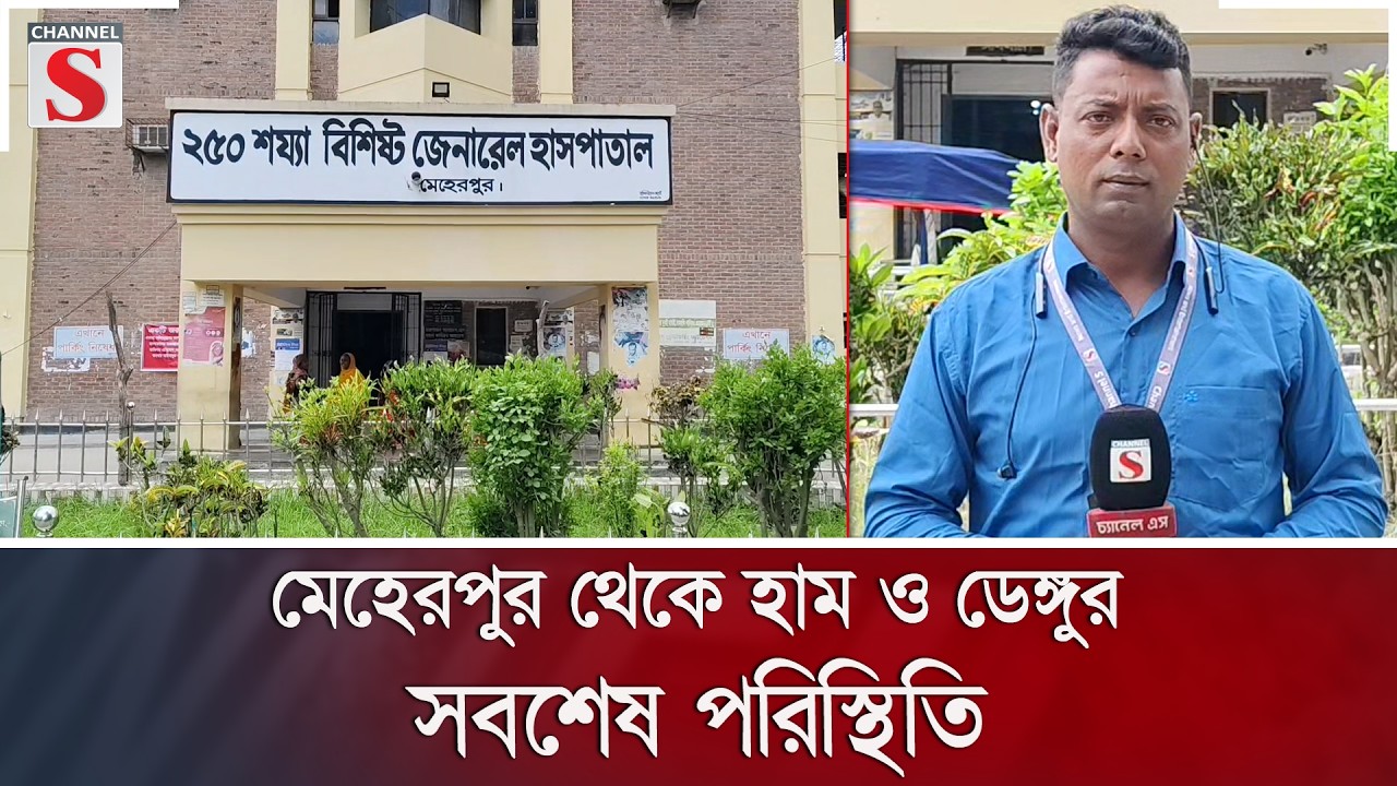 মেহেরপুর থেকে হাম ও ডেঙ্গুর সবশেষ পরিস্থিতি | Channel S News