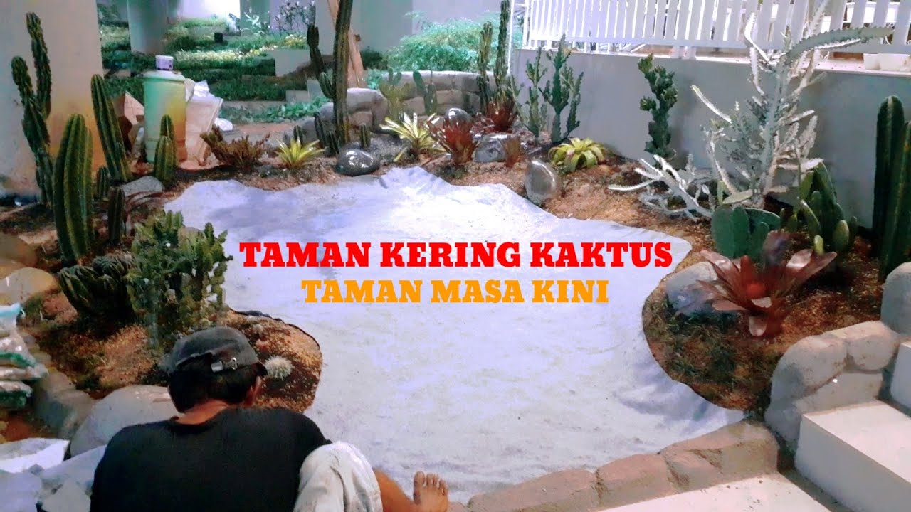 Membuat Taman Kering Kaktus Minimalis Depan Rumah - YouTube