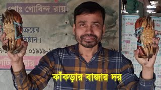 কাঁকড়ার বাজার। কাকড়ার দাম।পাইকারি কাঁকড়া বাজার crab price crab market 04-10-2024|@gobindasvlog