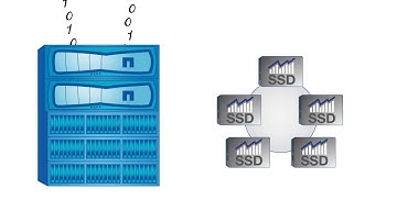 Storage Efficiency Video  How NetApp Virtual Storage Tier Works