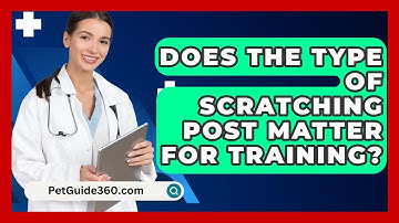 Does The Type Of Scratching Post Matter For Training? - PetGuide360.com
