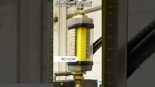 3 Cartridge Valves FAILED! 24V Solenoid Test Reveals the Problem