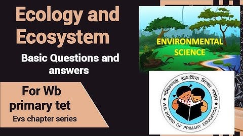Wb primary tet 2022 ll Evs chapter series ll Ecology and Ecosystem ll Q & Ans. @Wasim Academy  #Evs