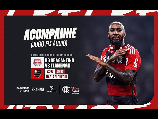 Análise pós-jogo: Flamengo 4x1 Bragantino - Quer um '9' bolado? - Urubu  Interativo