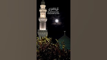 تلاوة خاشعة من #القرآن_الكريم #اسلاميات #اسلام #قراءة_استثنائية #طمأنينة #راحة_نفسية #اكسبلور