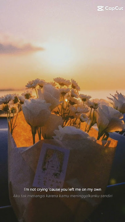 Don't watch me cry #shortvideo #status #liriklagu #lagusedih #short #shorts