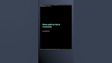 How to locate commands on Linux with which | Linux for Beginners #shorts