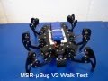 Ubug v2 hexapod walk test