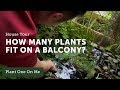 Balcony Gardening: Houseplant Home Tour with James Ipy — Ep 103