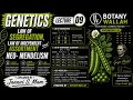 Genetics part-9 (Law of segregation, Law of independent assortment, Neo- Mendelism). Explained by J.