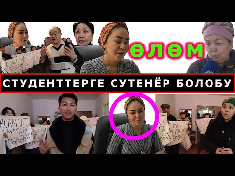 Video: Директорду дайындоо жөнүндө буйрук кантип чыгарылат