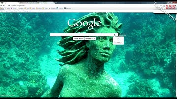 Google Voice Search In The Chrome Browser
