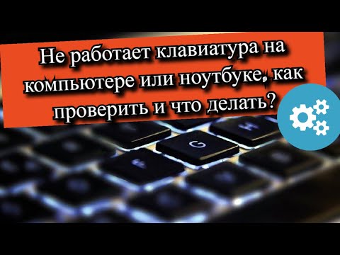Не работает клавиатура на компьютере или ноутбуке, как проверить и что делать?