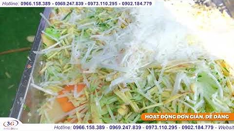 Máy Thái Lát, Sợi Khoai Tây, Cà Rốt, Gừng, Riềng, Thái Hạt Lựu Hành Tây| Điện Máy 3G