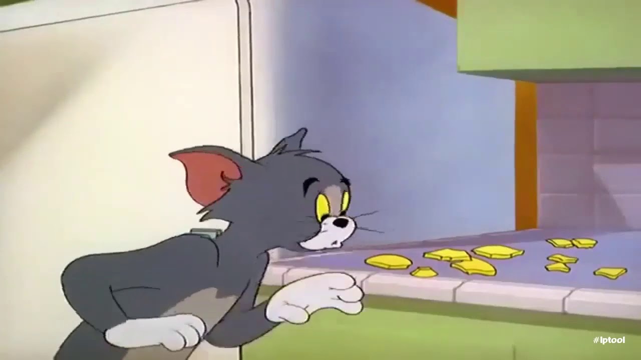 Tom And Jerry Latest New 2020 New Episode 2020 Latest Tom ...