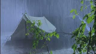 Sleep Instantly on Stormy Night | Heavy Rain on Tent & Very Strong Thunder at Night | White Noise