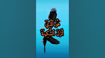 من الآية 1 إلى الآية 4 من سورة الفتح