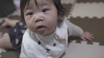 動き回る Youtube