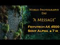 World Photography Day|Sony Alpha a7 III|Feiyutech AK4500