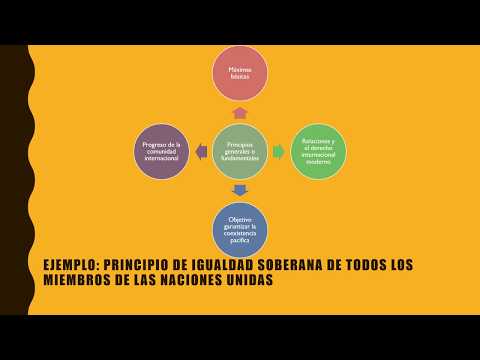 Video: ¿Cuáles son los principios del impedimento privativo?