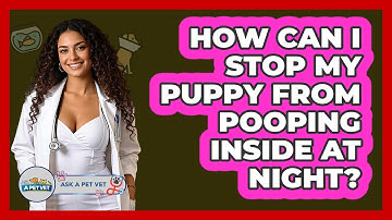 How Can I Stop My Puppy From Pooping Inside At Night? - Ask A Pet Vet