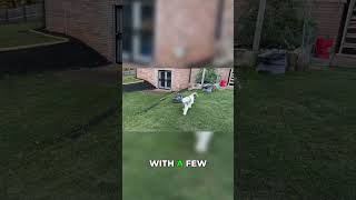Robot Mower Reality: The Good, Bad, and Ugly Truth