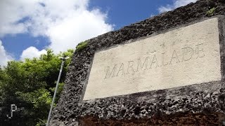 Marmalade - original