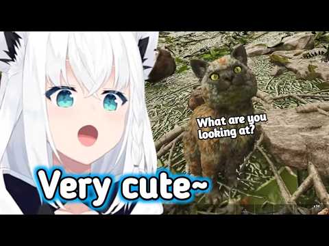 Fubuki Lost Her Mind Over a Cat in ARK 【Hololive】 