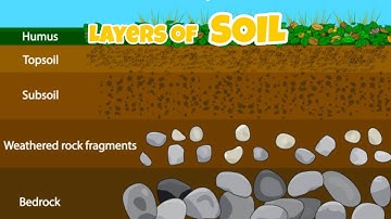 Soil & Layers of soil | Kids Educational video | Kids Learning video | Topsoil | Subsoil | Bedrock 