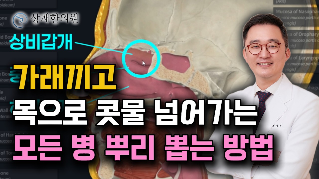 목 뒤로 끝없이 넘어가는 가래 콧물 완전히 말려버리는 방법 ㅣ이비인후과 의사도 안 가르쳐주는 비강과 후강에 숨겨진  해부학적 비밀