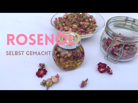 Rosenöl selber machen